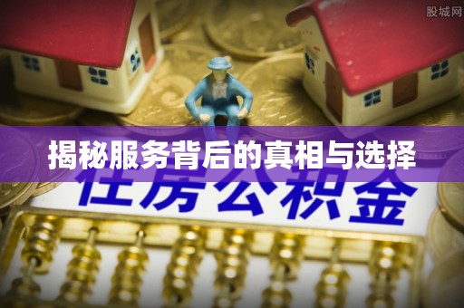 西林揭秘服务背后的真相与选择