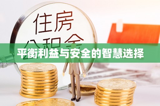 西林平衡利益与安全的智慧选择