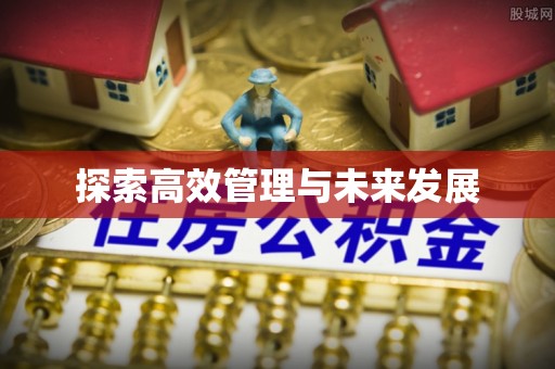 西林探索高效管理与未来发展