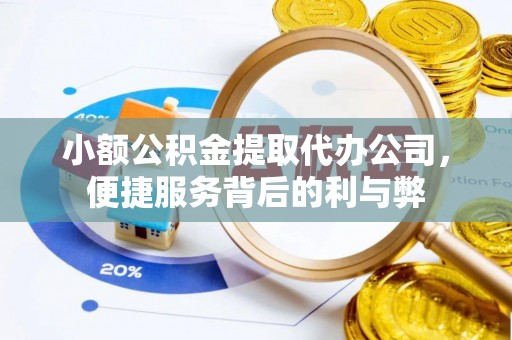 西林小额公积金提取代办公司，便捷服务背后的利与弊