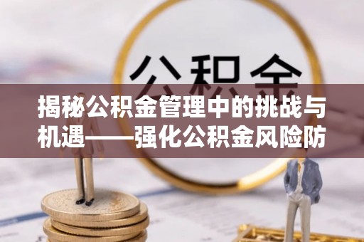 西林揭秘公积金管理中的挑战与机遇——强化公积金风险防控的多维策略