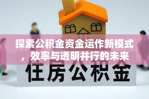 西林探索公积金资金运作新模式，效率与透明并行的未来