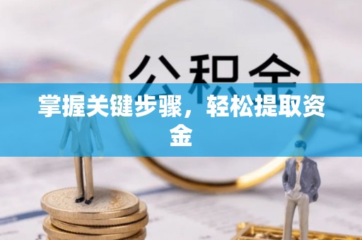 西林掌握关键步骤，轻松提取资金