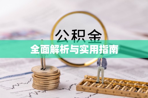 西林全面解析与实用指南