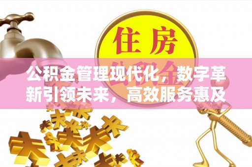 西林公积金管理现代化，数字革新引领未来，高效服务惠及民生