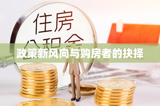 西林政策新风向与购房者的抉择