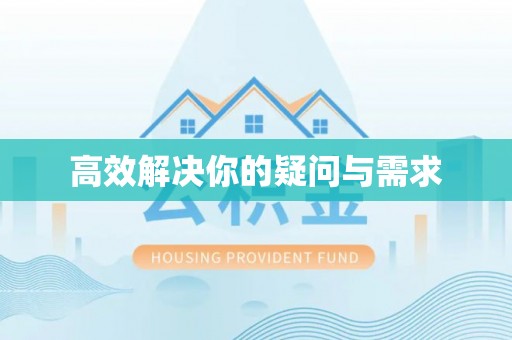 西林高效解决你的疑问与需求