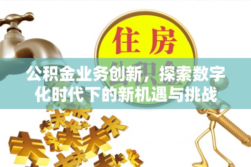 西林公积金业务创新，探索数字化时代下的新机遇与挑战