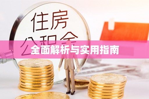 西林全面解析与实用指南