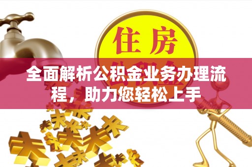 西林全面解析公积金业务办理流程，助力您轻松上手