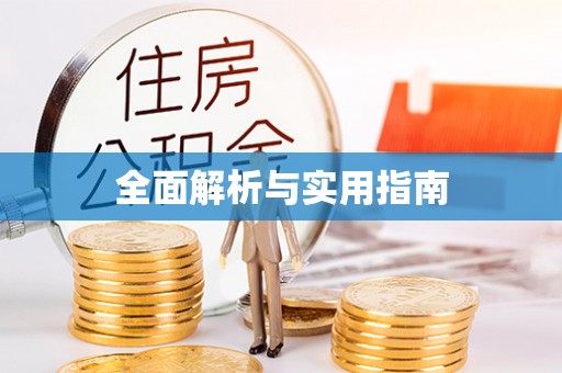 西林全面解析与实用指南