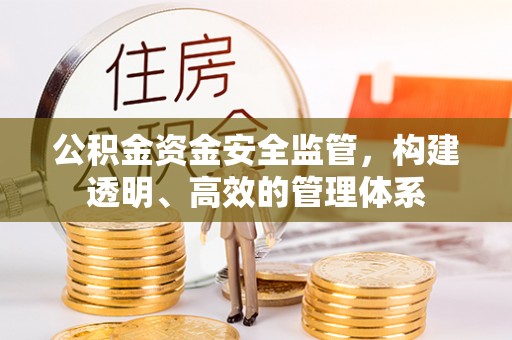 西林公积金资金安全监管，构建透明、高效的管理体系