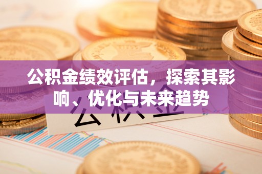 西林公积金绩效评估，探索其影响、优化与未来趋势