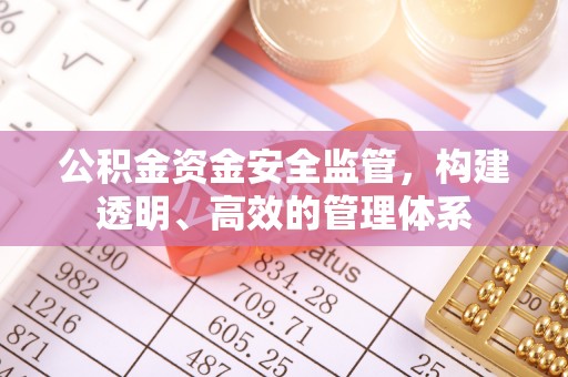 西林公积金资金安全监管，构建透明、高效的管理体系