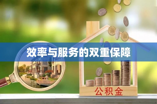 西林效率与服务的双重保障