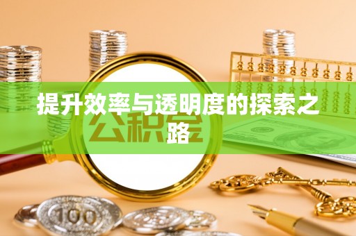 西林提升效率与透明度的探索之路