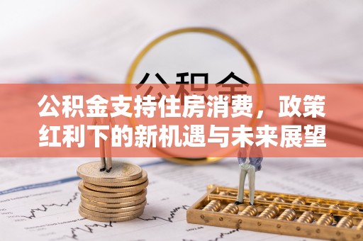 西林公积金支持住房消费，政策红利下的新机遇与未来展望