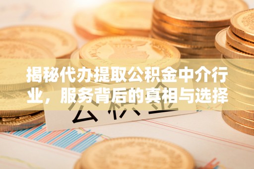 西林揭秘代办提取公积金中介行业，服务背后的真相与选择指南