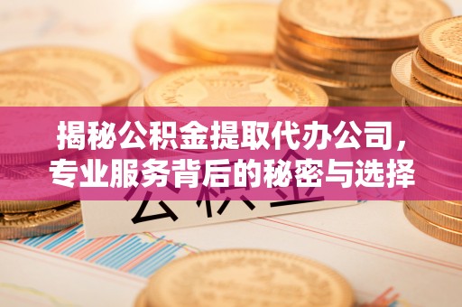 西林揭秘公积金提取代办公司，专业服务背后的秘密与选择指南