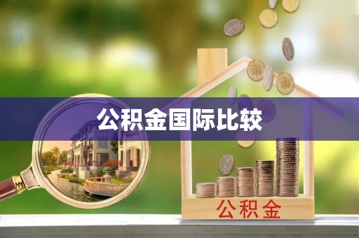 西林公积金国际比较
