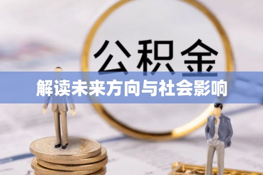 西林解读未来方向与社会影响
