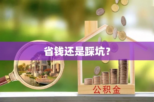 西林省钱还是踩坑？