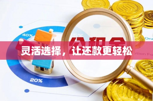 西林灵活选择，让还款更轻松
