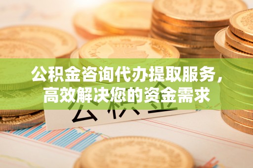 西林公积金咨询代办提取服务，高效解决您的资金需求