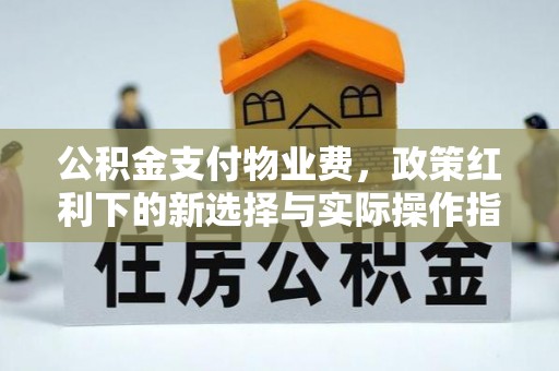 西林公积金支付物业费，政策红利下的新选择与实际操作指南