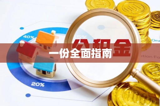 西林一份全面指南