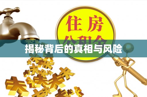 西林揭秘背后的真相与风险