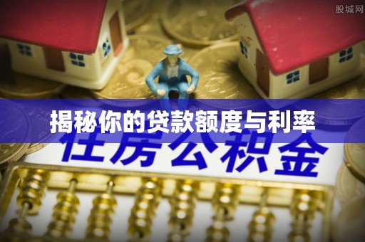 西林揭秘你的贷款额度与利率