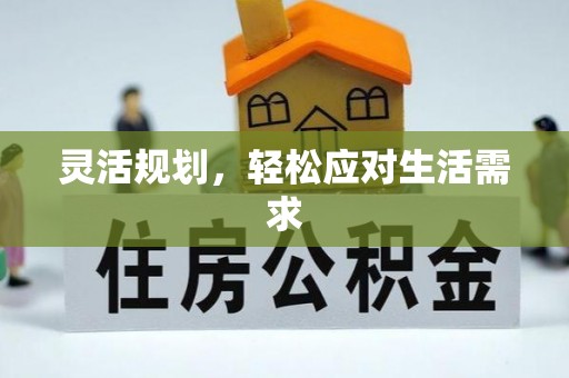 西林灵活规划，轻松应对生活需求