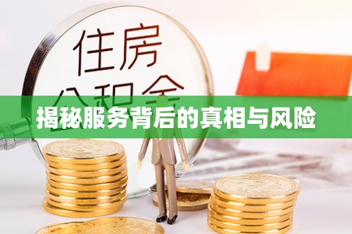 西林揭秘服务背后的真相与风险