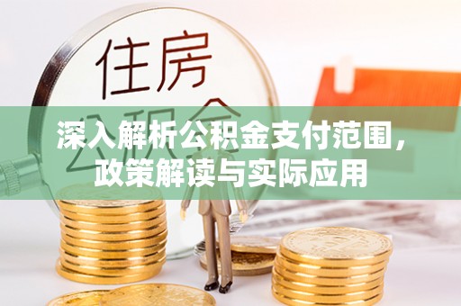 西林深入解析公积金支付范围，政策解读与实际应用