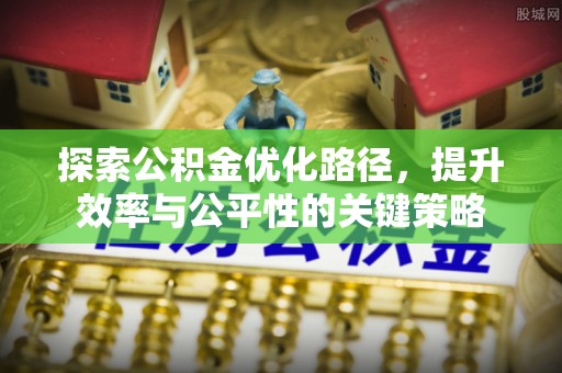 西林探索公积金优化路径，提升效率与公平性的关键策略