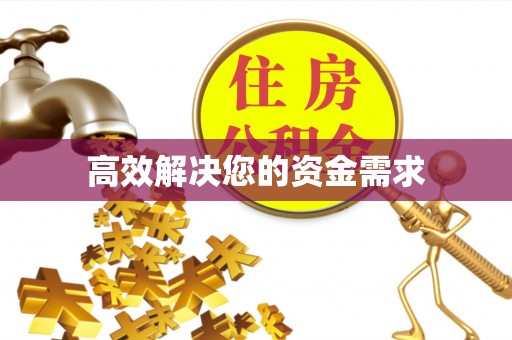 西林高效解决您的资金需求