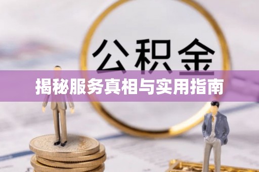 西林揭秘服务真相与实用指南