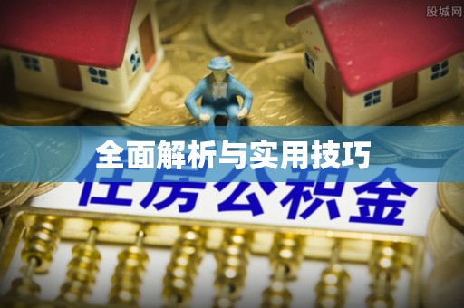 西林全面解析与实用技巧