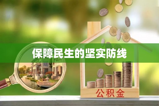 西林保障民生的坚实防线
