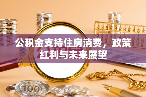 西林公积金支持住房消费，政策红利与未来展望
