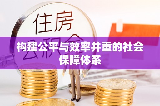 西林构建公平与效率并重的社会保障体系