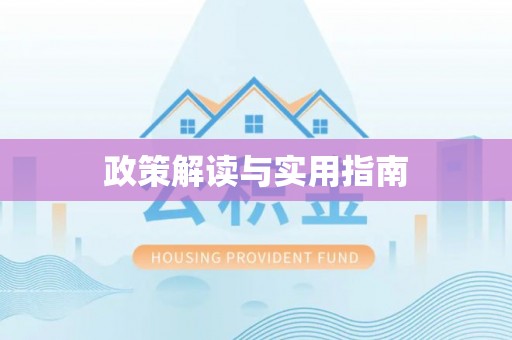 西林政策解读与实用指南
