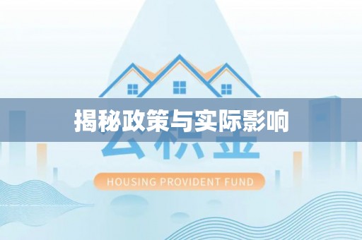 西林揭秘政策与实际影响