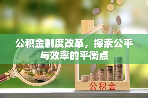 西林公积金制度改革，探索公平与效率的平衡点