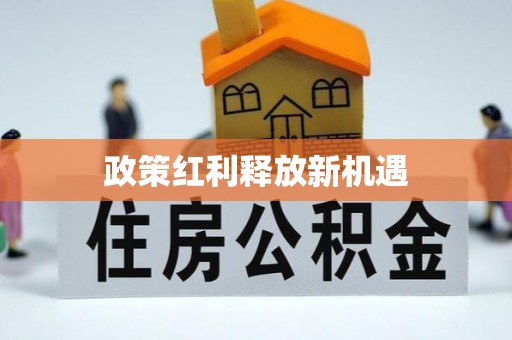 西林政策红利释放新机遇