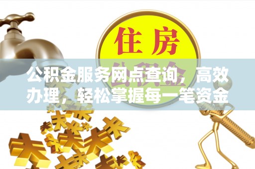 西林公积金服务网点查询，高效办理，轻松掌握每一笔资金动态