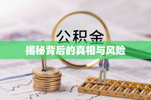 西林揭秘背后的真相与风险