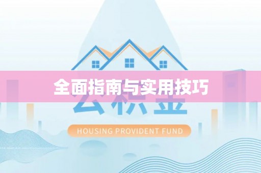 西林全面指南与实用技巧