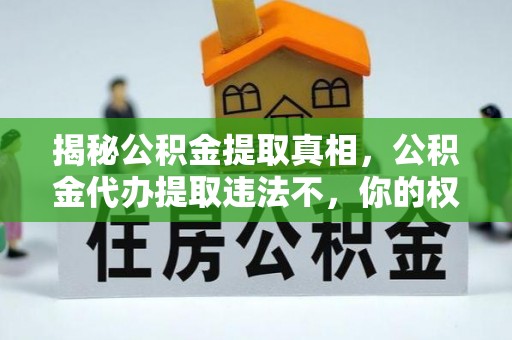 西林揭秘公积金提取真相，公积金代办提取违法不，你的权益如何保障？